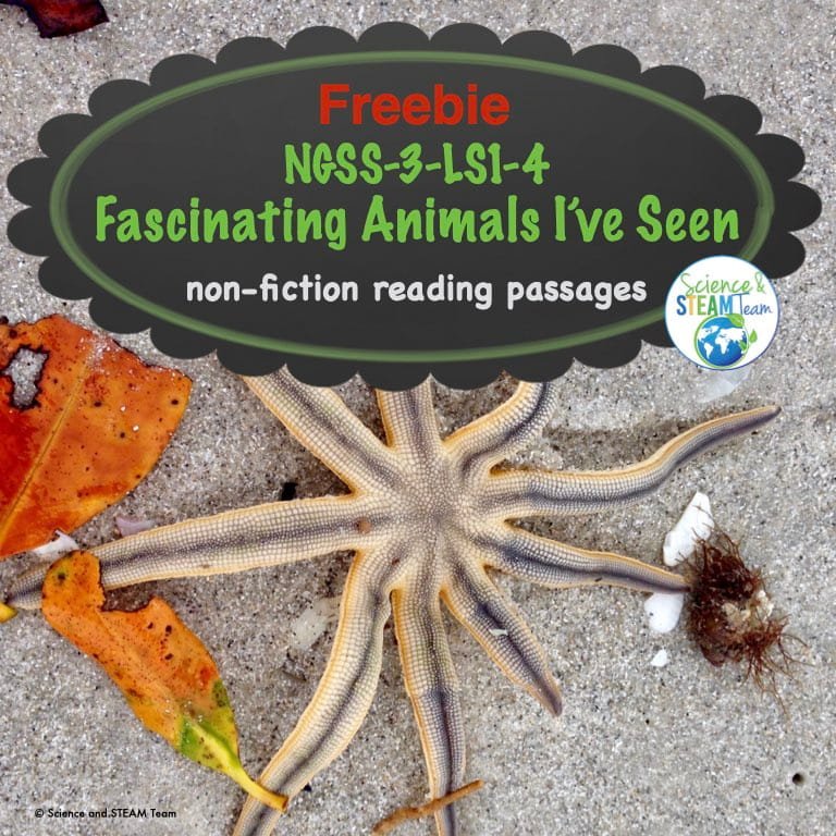 Facinating animals freebie SC.001 - Sarah Lalonde